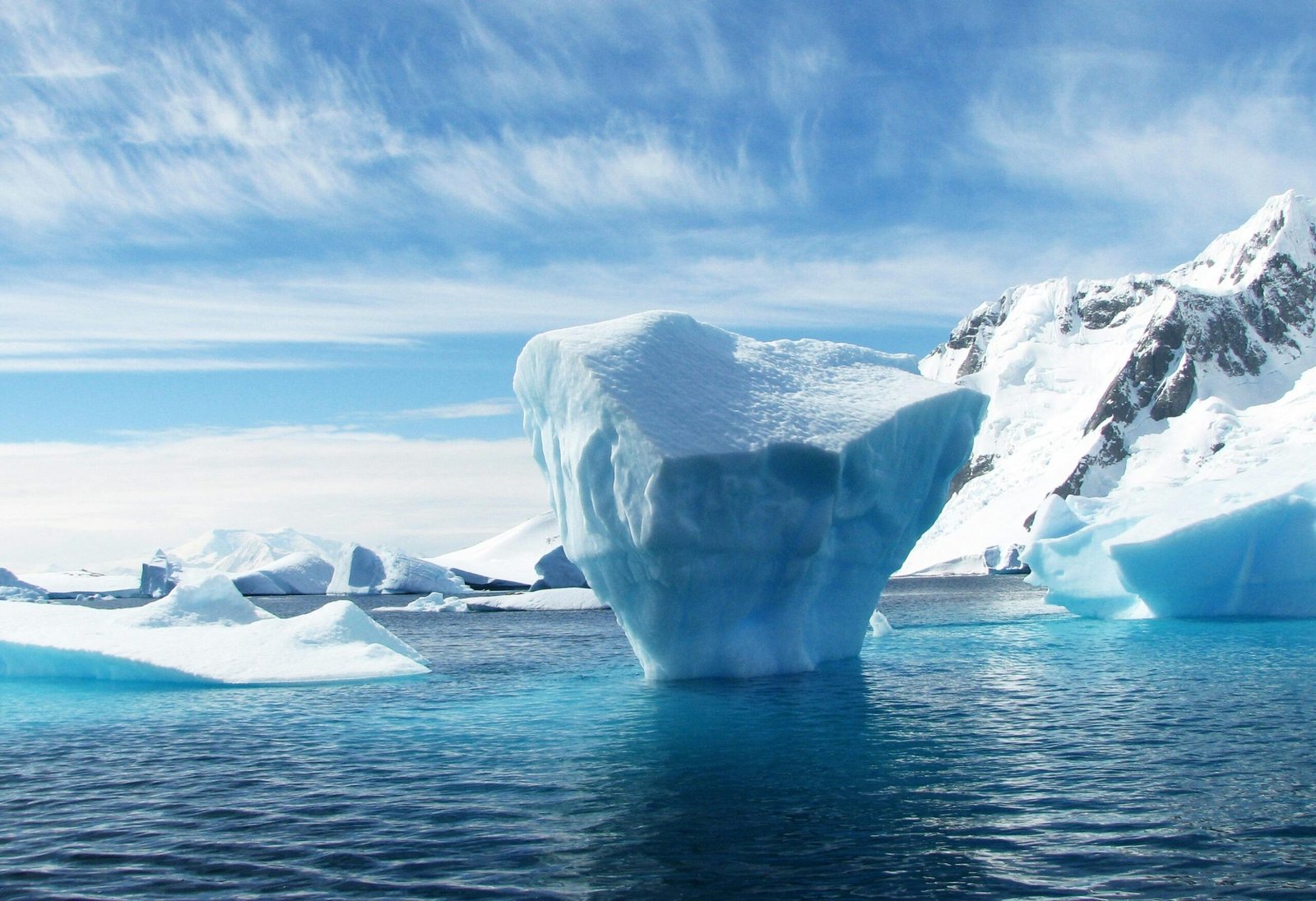 Strange Things Discovered Frozen in Antarctica